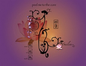 水墨荷花flash酷站下载